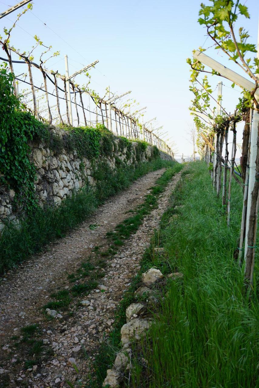הוילה סאן פייטרו אין קריאנו Domus Cariana מראה חיצוני תמונה